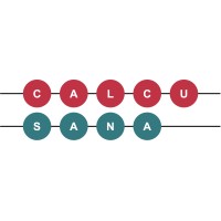 Calcusana Consulting logo - Similar company to Arkon, A.S.