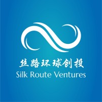 Silk Route Ventures logo - Similar company to Tehzeeb Education System