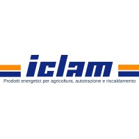 ICLAM S.R.L. logo - Similar company to Teksae Srl