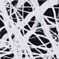 Connective Tissue logo - Similar company to Bold New World