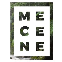 Mecene logo - Similar company to Pnb Architecture