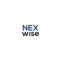 Nexwise logo - Similar company to Learning Horizon
