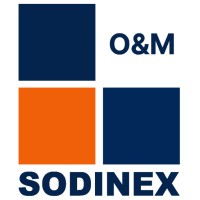SODINEX logo - Similar company to Insaco