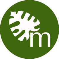 Movement Consulting
