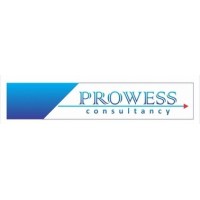Prowess Technology Solutions LLP logo - Similar company to Amara Group