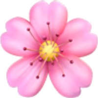 Freelance Graphic Designer and Illustrator logo - Similar company to Mohamed Ibrahim Graphic Designer Illustrator