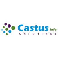 Castus Info logo - Similar company to Mindwave Solutions, Inc