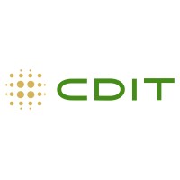 CDIT- Creative Digital Information Technology logo - Similar company to C-Dit