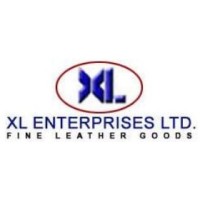 XL Enterprises logo - Similar company to The Android Rush