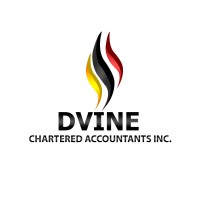 Dvine Chartered Accountants Inc logo - Similar company to Sm Studio