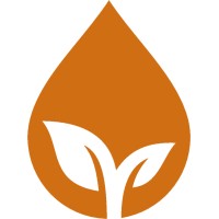 Foundation Vula