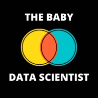 thebabydatascientist.com logo - Similar company to Insus - Industrial Sustainable Solutions