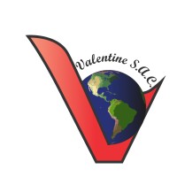 Valentine Consulting Engineers SAC logo - Similar company to Project Ingenieros