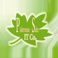 PSIT logo - Similar company to Parsstring