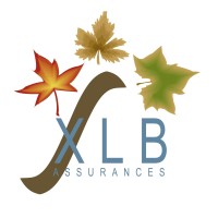 XLB ASSURANCES logo - Similar company to Lbsp