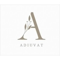 Adiuvat Ltd logo - Similar company to Accessprod