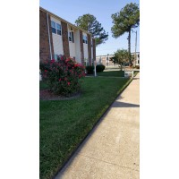 Driftwood Apartments Virginia Beach logo - Similar company to Gorilla Contracting