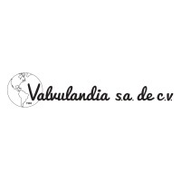 Valvulandia S.A. de C.V. logo - Similar company to Tfv Mexico Operations