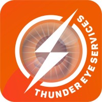 Thunder Eye Services logo - Similar company to Visotrónica - Security Products