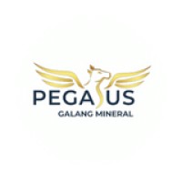 Pegasus Mineral logo - Similar company to Baosteel Resources Co. Ltd.