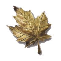 Golden Leaf Electrical Services Ltd. logo - Similar company to Fina Electrical Systems