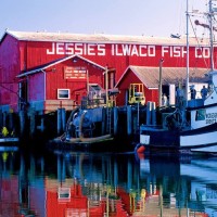 Safe Coast Seafoods