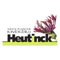 Vaste Planten Kwekerij Heutinck logo - Similar company to Studio Linksvoor