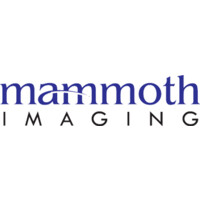 Mammoth Imaging Inc. logo - Similar company to Passion Art Galleria