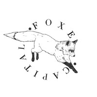 Foxe Capital logo - Similar company to Plural Vc