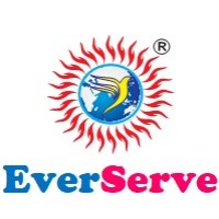 EverServe Consultants Private Limited logo - Similar company to Abc Info Tech