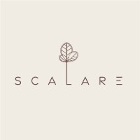 Scalare Arquitetura logo - Similar company to Esfera Jr. - Arquitetura E Engenharia Civil