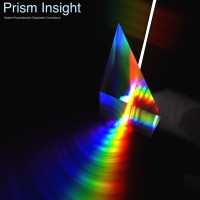 Prism Insight logo - Similar company to Sbo 'De Dijk'