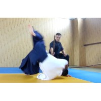 Raiden Dojo - Bucuresti logo - Similar company to Taoiststudies.Org, Tasc - Taoist Alchemical Studies Center