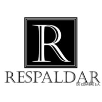 Respaldar logo - Similar company to Nash21