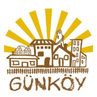 Güneş Köyden Doğuyor logo - Similar company to Learnwell Academy