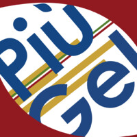 Più Gel logo - Similar company to Designch2