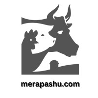 MeraPashu logo - Similar company to Pashu Palan