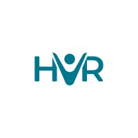 HR View logo - Similar company to Zohaibgroup