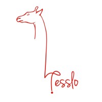 Tesslo logo - Similar company to Travel Stride