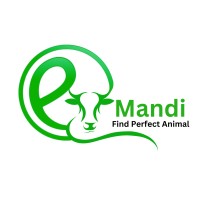 eMandi logo - Similar company to E-Commerce Visions