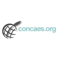 Concaes logo - Similar company to Consejo General De Procuradores De España