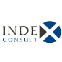 INDEX Consult logo - Similar company to Grupo Kronn