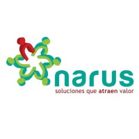 Soluciones Narus logo - Similar company to Soluciones Narus