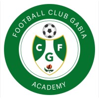 F.C. Gabia Academy logo - Similar company to 上海美高双语学校