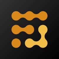 Follow LSN logo - Similar company to Triadesoft