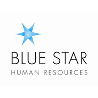 Blue Star Human Resources Ltd logo - Similar company to Double S Design