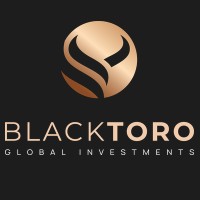BlackTORO logo - Similar company to Anim4Rt Nfts