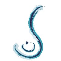 Ceramist Artist logo - Similar company to Ceramist Co.
