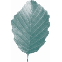 Erlenhof Wittnau logo - Similar company to Green Care Schweiz