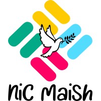 Nic Maish ONG logo - Similar company to Despega